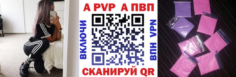 где найти Фокино Альфа ПВП СК