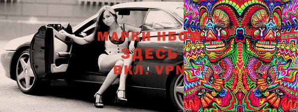 гидра Медвежьегорск