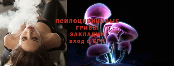 твердый Михайлов