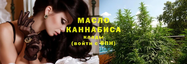 индика Михайловка