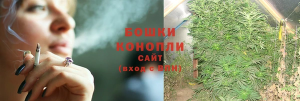 сатива Медногорск