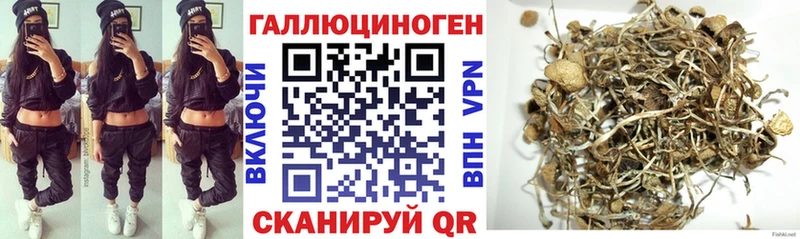 где купить наркоту  Фокино  MEGA вход  Галлюциногенные грибы мухоморы 
